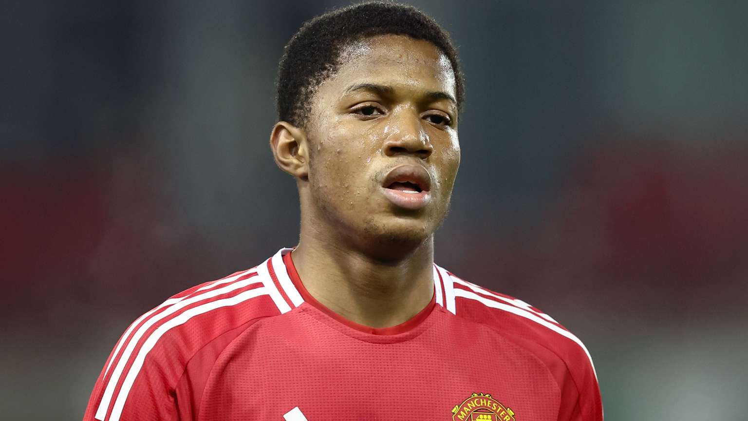 受到严峻挑 受到严峻挑